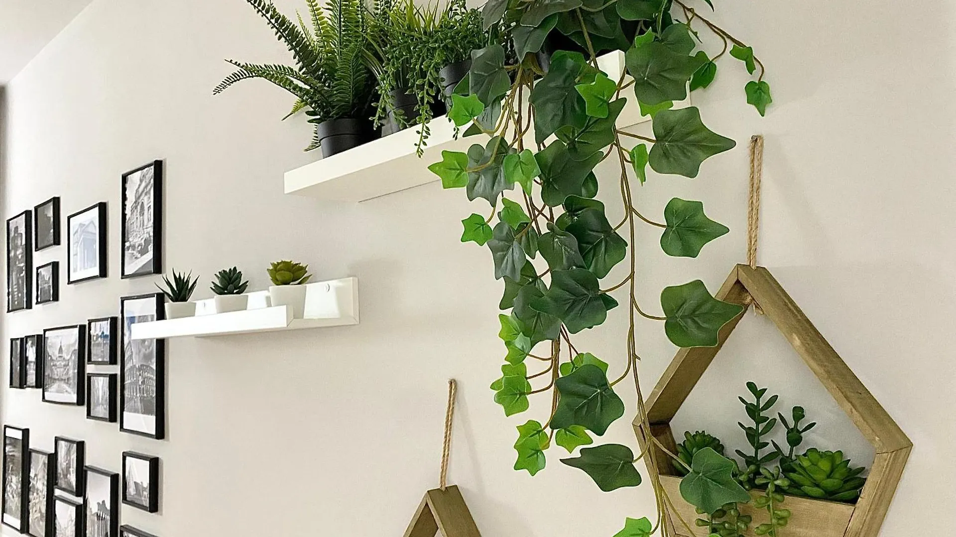 Apartment Capuanshome-Intero Appartamento Rome
